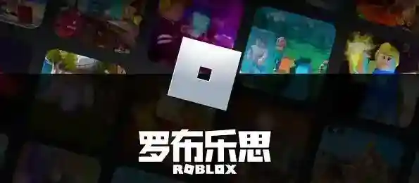 Roblox注册验证