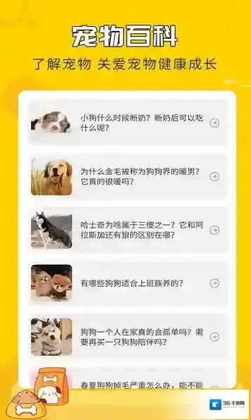 人狗翻译神器狗狗