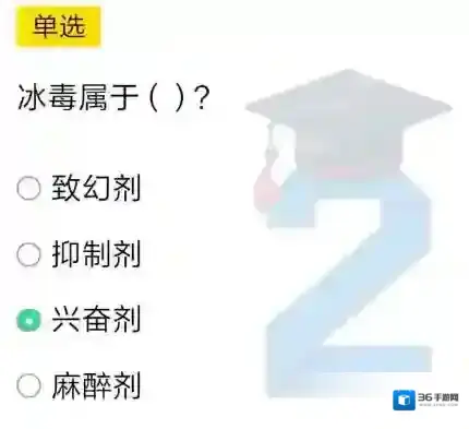 冰毒属于什么？