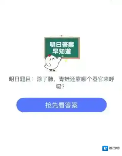 除了肺，青蛙还靠哪个部位来呼吸