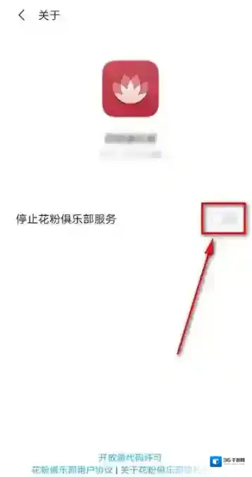 花粉俱乐部服务