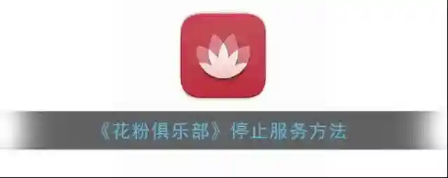 《花粉俱乐部》停止服务方法