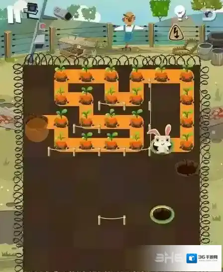 兔子复仇记中文版大火