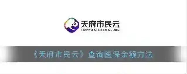 天府市民云查询