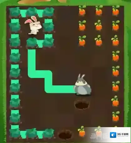 兔子复仇记中文版五针松