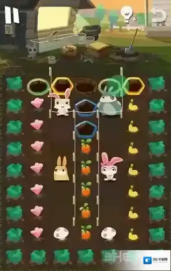 兔子复仇记中文版橙色