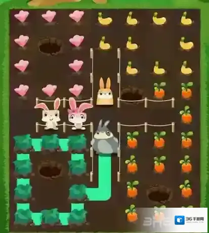 兔子复仇记中文版五针松