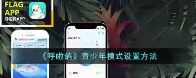 呼啦鸽青少年模式