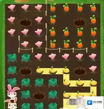 兔子复仇记中文版五针松