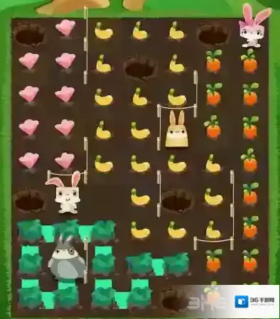 兔子复仇记中文版五针松