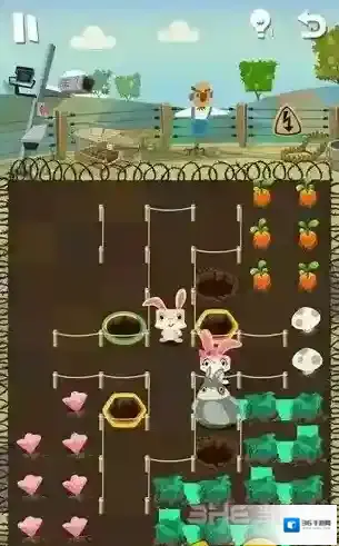 兔子复仇记中文版路线