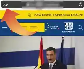 safari浏览器自动翻译