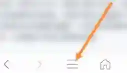 私密浏览器选项