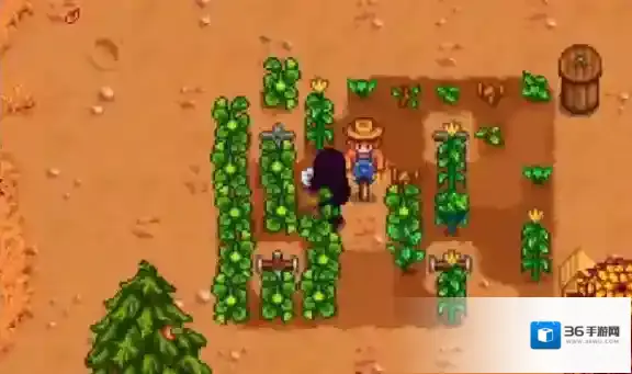 星露谷物语任务攻略