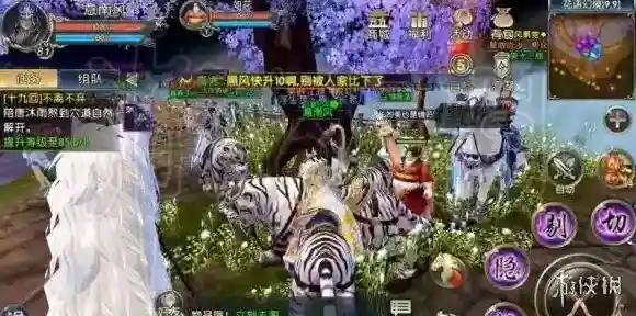 卧虎藏龙贰幻境