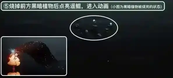 Sky光遇上浮